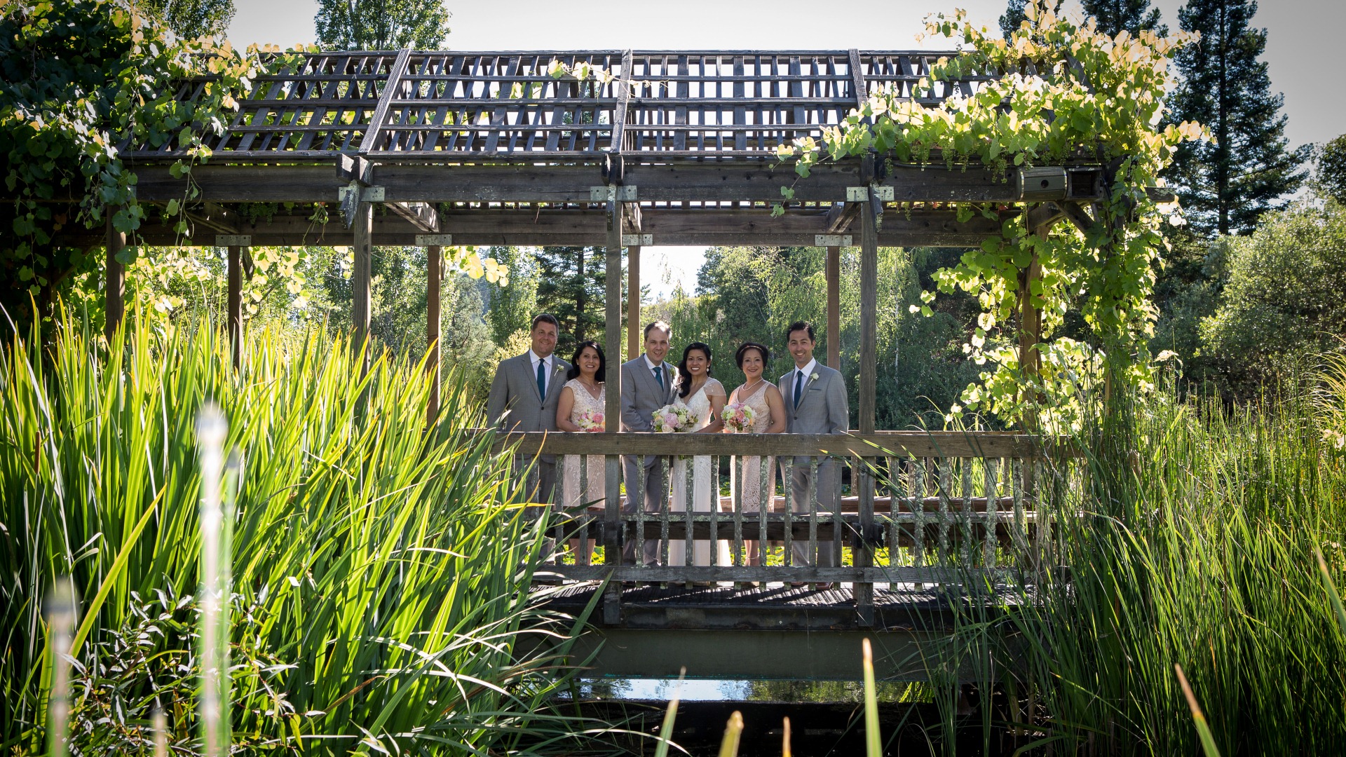 Bridge Photo